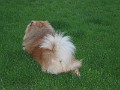 20040531_ 037